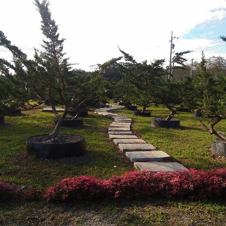 Du Du Hao B&B Luye Luaran gambar
