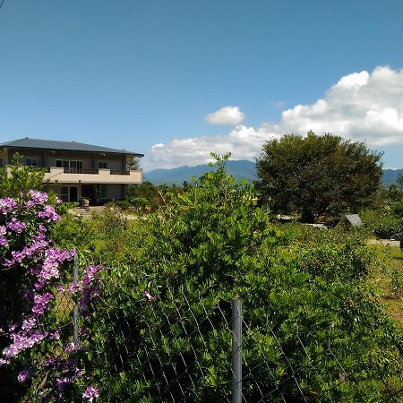 Du Du Hao B&B Luye Luaran gambar