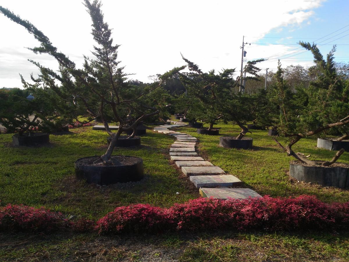 Du Du Hao B&B Luye Luaran gambar